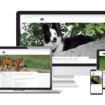 Wordpress Webdesign & Text für Chum ufe Hund Hundeschule